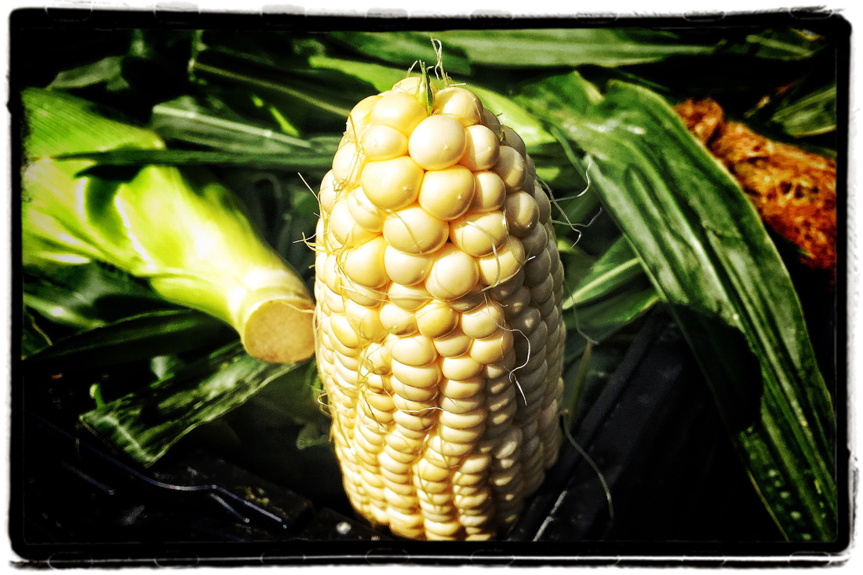 Farmers Market
